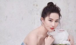 倪妮爆料刘亦菲视频是真的吗,倪妮爆料刘亦菲视频真实性揭秘