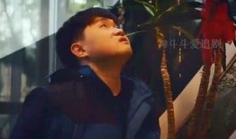 百万火急 在线观看,紧急时刻，生死时速